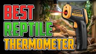 Top 5 Best Infrared Thermometers for Reptiles 2026 | Are Cheap Temp Guns Killing Your Reptile?