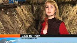Мини-ферма вешенок