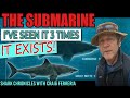 The Submarine - Part 1.  It's real! I've seen South Africa's giant great white shark three times!