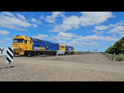 D778V PN up LE (G527, BL33), Gheringhap to Melbourne, 1130, 21/11/25, Gheringhap VIC 