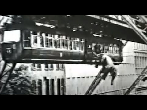 Trainways Live - 0.15 Open Beta