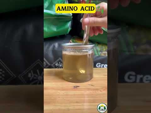 Video Amino Acid – Phục Hồi