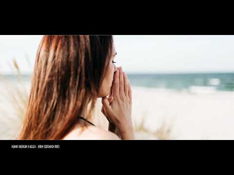 Dennis Sheperd X RELEJI - Omid (Extended Mix) (HQ Audio)