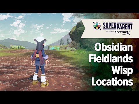 Pokemon Legends: Arceus Obsidian Fieldlands Wisp Locations Guide