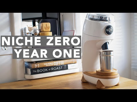 NICHE ZERO - Year One In Review