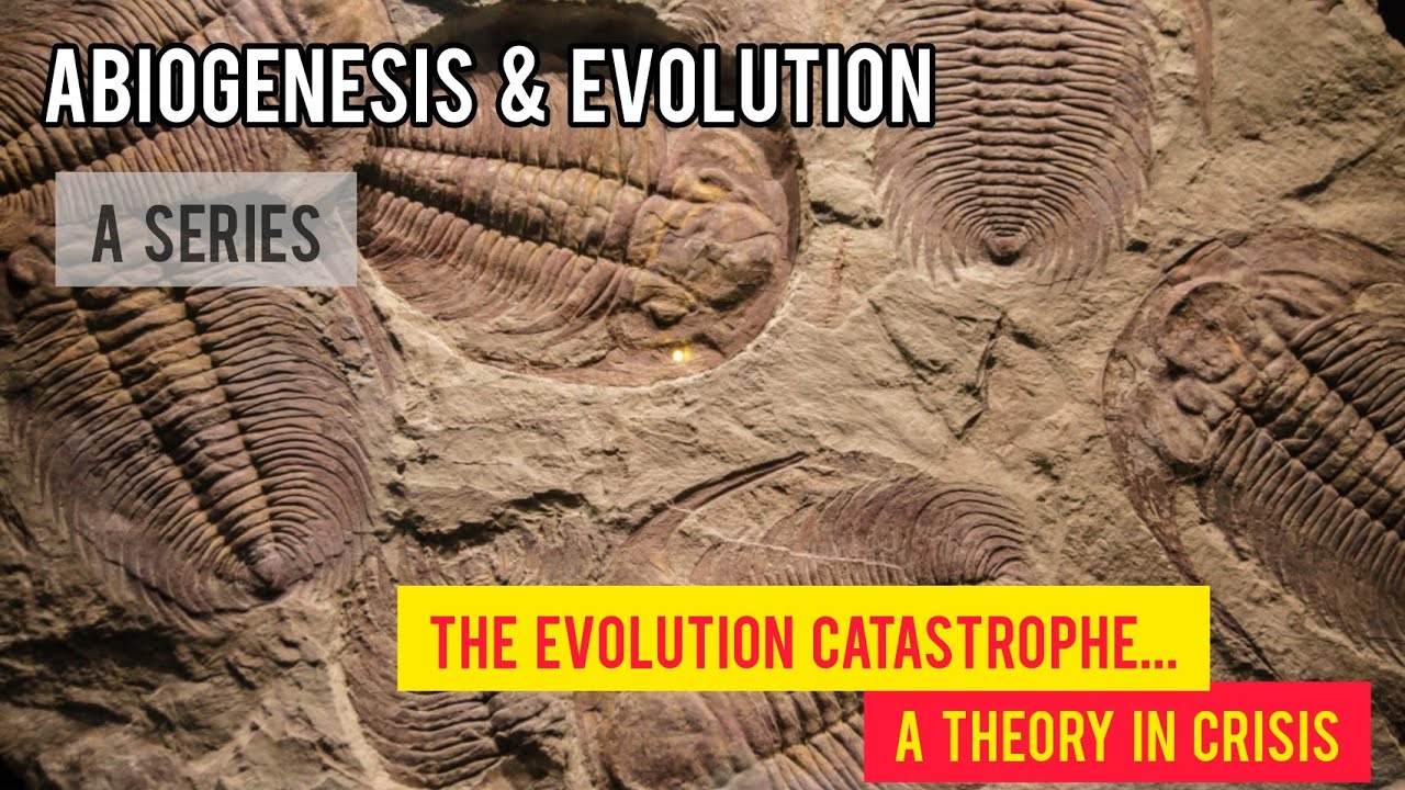The Evolution Catastrophe - A Theory in Crisis