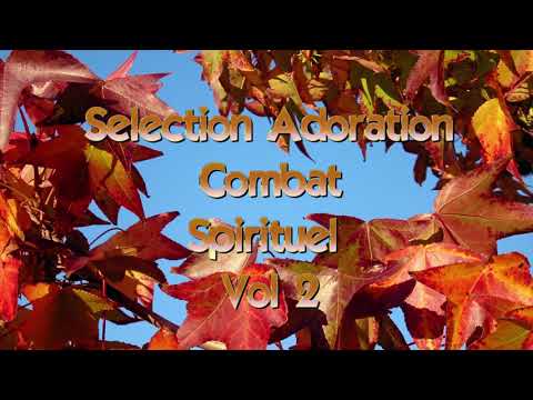 SELECTION FORTES CHANSONS D'ADORATION DU COMBAT SPIRITUEL VOL 2