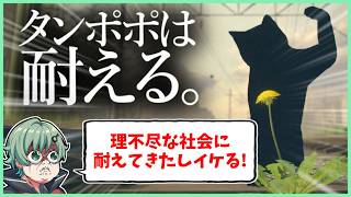 🔴理不尽な社会に耐えてきたラメリィ・フランソワなら耐えられる説【タンポポは耐える。】