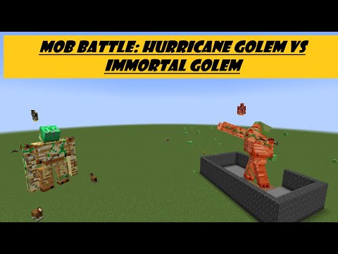Insane Minecraft Golem Battle - You Won't Believe Who Wins!