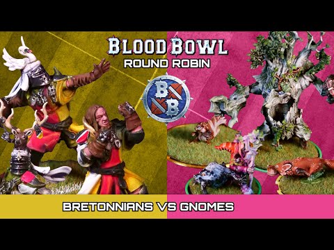 Bretonnians vs Gnomes | Blood Bowl Battle Report #games #bloodbowl