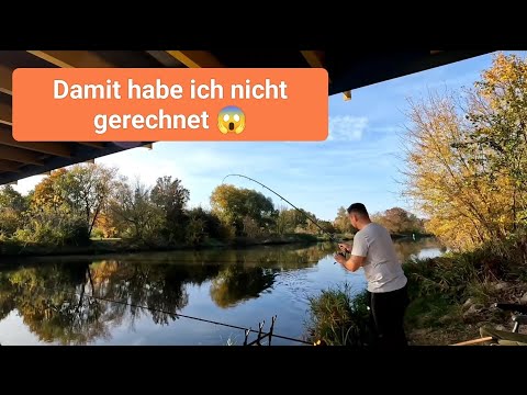 Feedern am Fluss mit dicker Überraschung 😱 Angeln auf Barbe und Co