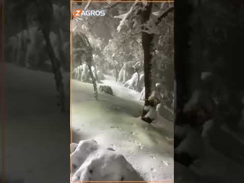 شاهد بالفيديو.. استمتع بمنظر تساقط #الثلوج في #جبل_كورك وشاهد الوجه الهادئ لقبلة السياحة الشتوية