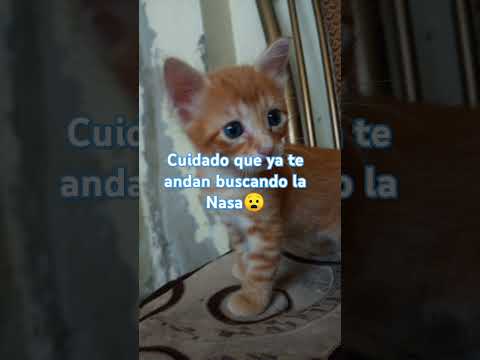 saludos también para José David💖💝👁️👄👁️