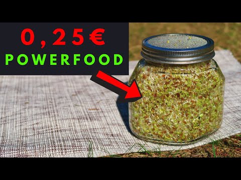 IMMUNE SYSTEM BOOSTER: Growing sprouts in a sprouting jar | Instructions: Alfalfa & Broccoli