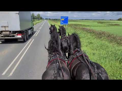 Stal Okkema's Auke, Wonne, Cor an Willem