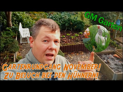 Gartenrundgang November! Zu Besuch bei den Hühnern!