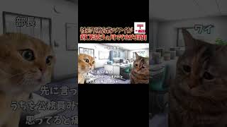 社会不適合者が郵〇局を3ヵ月で辞めた理由 #猫ミーム #shorts