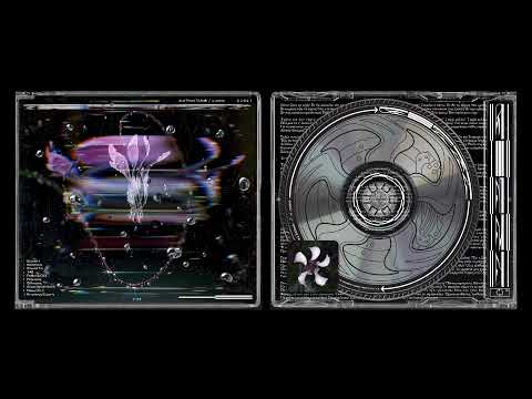 Suzuki - steliosilchuk / x.ypno