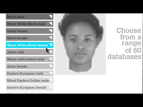 How EvoFIT works  - EvoFIT
