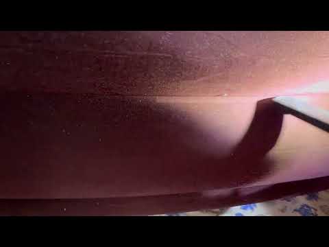 Air Mattress Full of Bed Bugs in Iselin, NJ