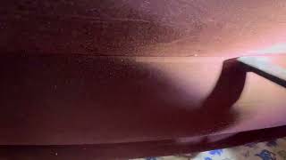 Watch video: Air Mattress Full of Bed Bugs in Iselin, NJ