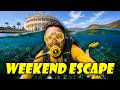 CATALINA ISLAND Ultimate Travel Guide