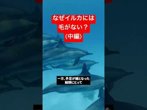 Nuvola アプリの教育言語.svg