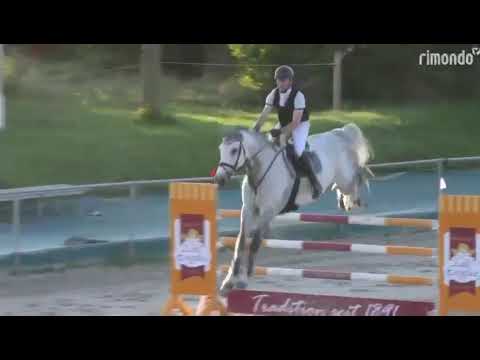 OBC-Carl-O (CELLESTIAL x LANDGOLD) - Video 4 video thumbnail