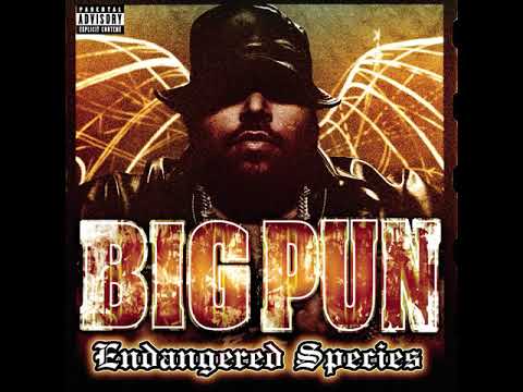 BIG PUN | Fire Water Ft. Fat Joe, Armageddon & Raekwon [HQ] | Dr. Dre Jr