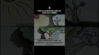 A Bíblia sempre surpreende!