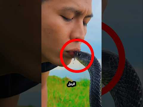 الافعى تحب صديقها للغاية!😮⭕