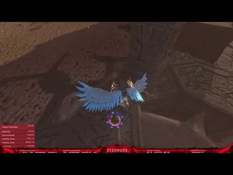 Neverwinter: Alliance Master Zariel Training!