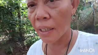 Download lagu NAG KABOKO SA TO BEG SA KANG LANGLANG OG NAG LOTOKO SA GOLAY OG LAME KA AYO mp3