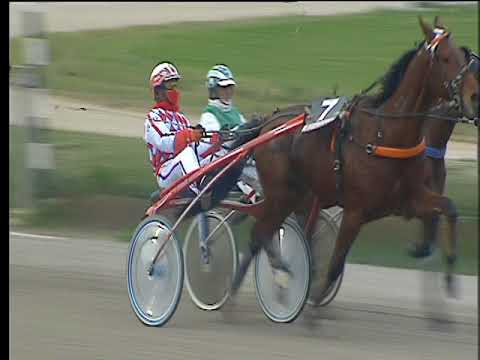 Trotto 19/01/2018 - 2ª corsa