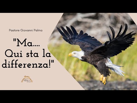 Domenica 11/09/2022 ore 10:30 - "Ma.... Qui sta la differenza!" - Pastore Giovanni Palma