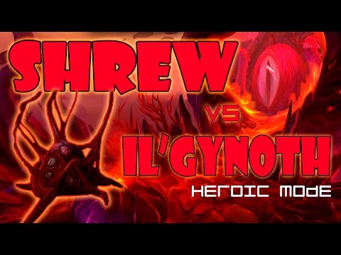 SHREW vs IL'GYNOTH Heroic - Holy and Disc Priest PoV