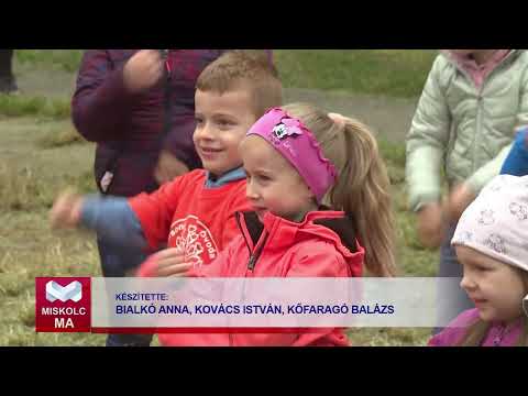 Videó előnézet