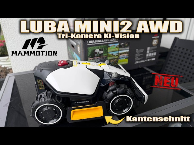 Judge.me YouTube video placeholder