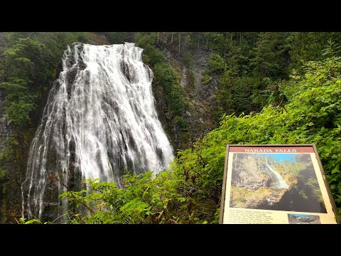One Day at Mt. Rainier National Park - Hike to Narada Falls