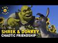Donkey And Shrek S Chaotic Friendship