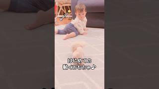 初めての動くおもちゃに興味津々のボク🤭 #赤ちゃん #赤ちゃんのいる生活 #生後10ヶ月 #10ヶ月ベビー #男の子ベビー #三兄弟 #末っ子 #初めてシリーズ #shorts #癒し #baby