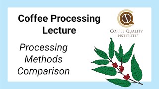 Lessons in Coffee Processing - Processing Methods Comparison