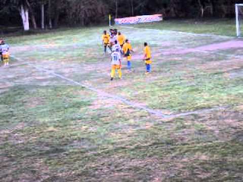 O Canarinho canta feliz