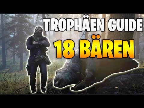 Red Dead Redemption 2: Trophäen Guide - 18 Bärenattacken überleben und dann töten