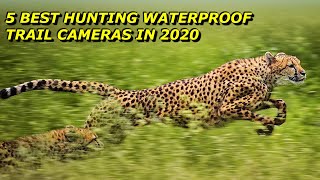5 Best Hunting Waterproof Trail Cameras in 2020