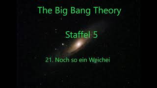 The Big Bang Theory Staffel 5 F 21 - 24 ,tonspur , einschlafen