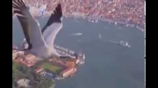 Isa chante &quot;Ma Liberté&quot;