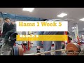 DVTV: Block 5 Hams 1 Wk 5