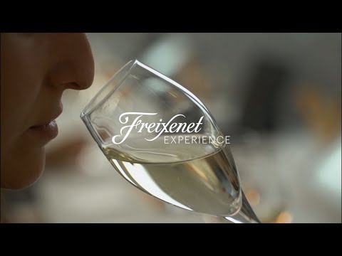 Cavas Freixenet