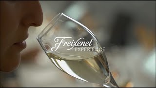 Freixenet Visita las cavas Freixenet - #VisitFreixenet anuncio